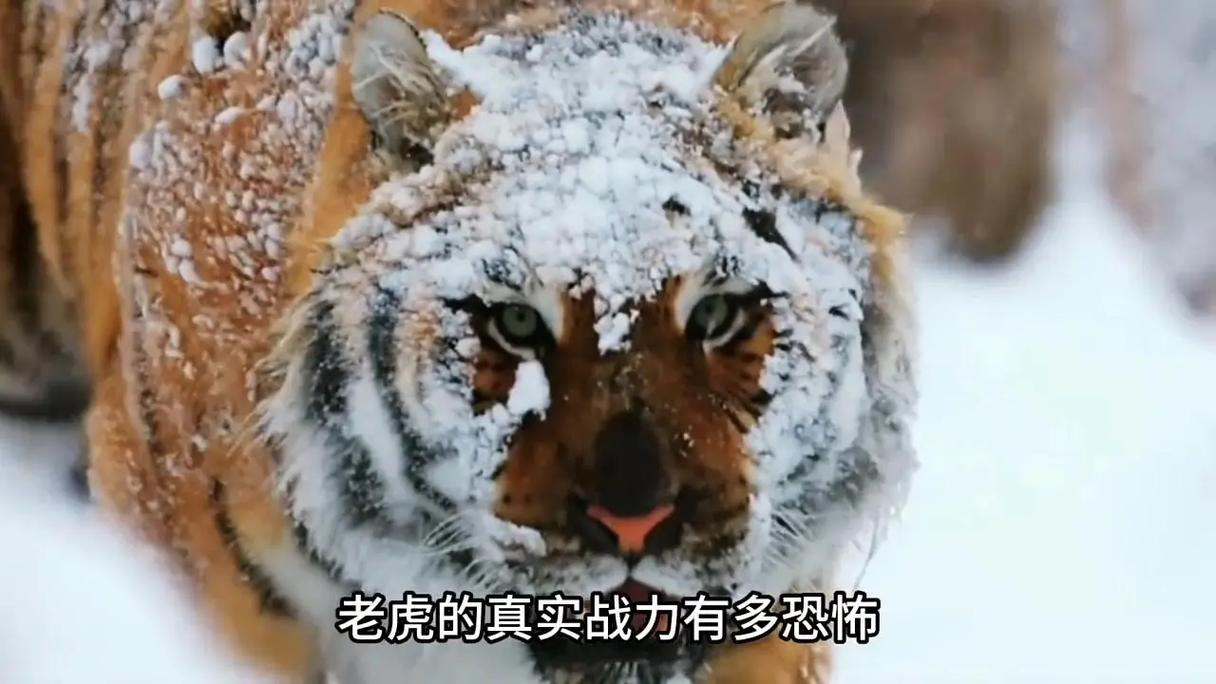 王者榮耀蘭陵王反野，蘭陵王 反野？-第4張圖片-猴鯊游戲