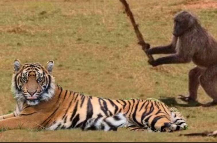 王者榮耀精彩猴子擊殺，王者榮耀猴子擊敗特效-第3張圖片-猴鯊游戲