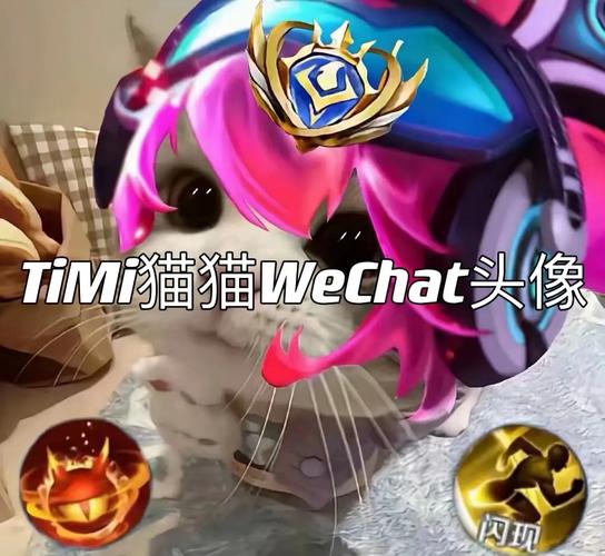 旬貓王者榮耀最強(qiáng)射手，王者榮耀的最強(qiáng)射手？