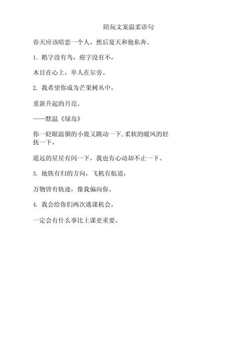 王者榮耀射手試音臺詞大全，王者射手語音？